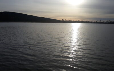 Accompagnement d’un cas de gale avec l’huile essentielle de Thym CT Thymol