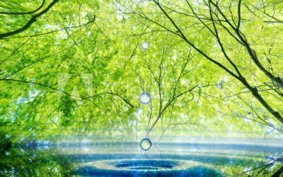 L’huile essentielle d’Ylang ylang : quand utiliser cette huile essentielle ?